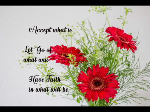 Canvas Accept what is